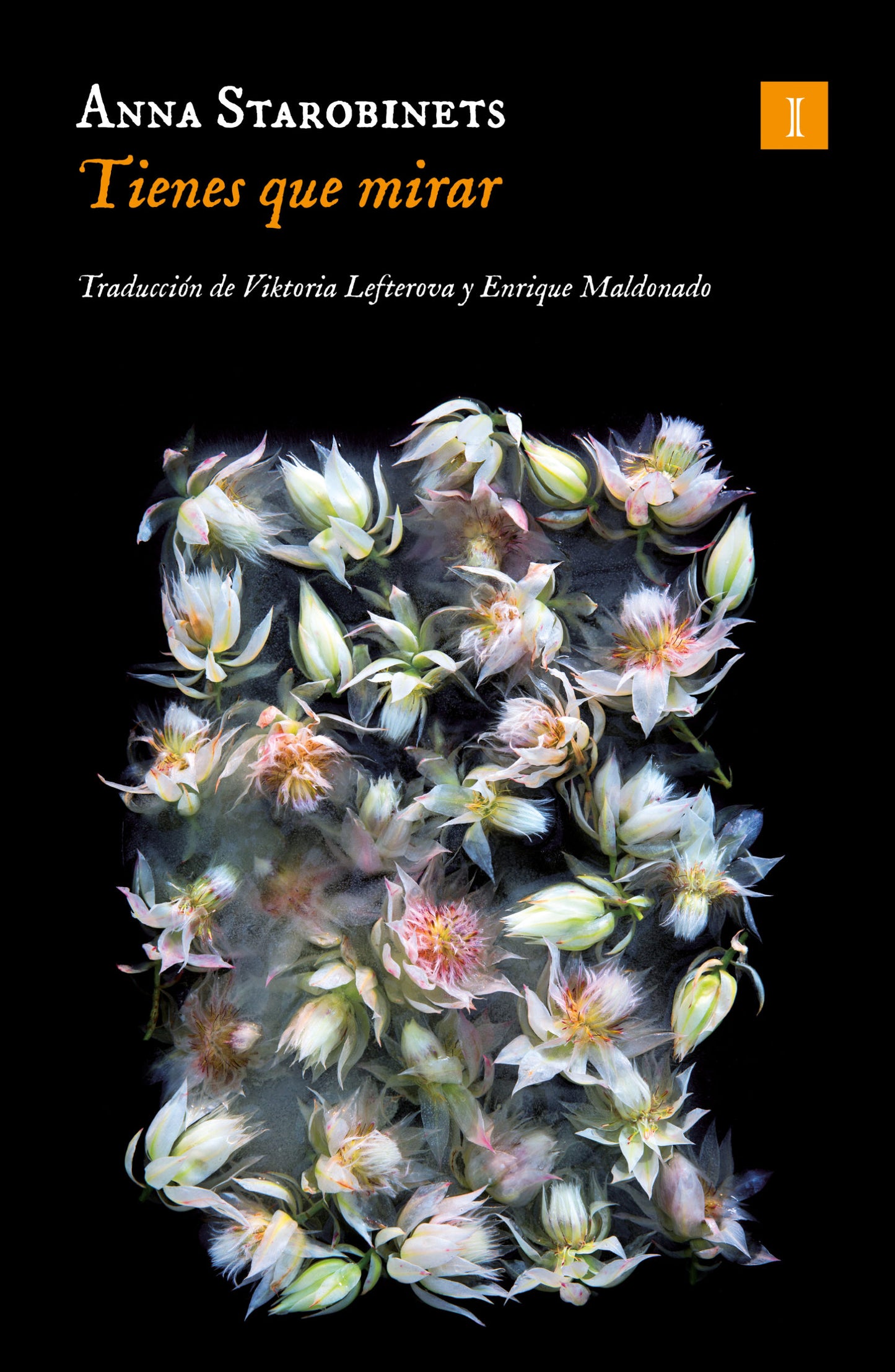 Tienes que mirar Anna Starobinets Impedimenta